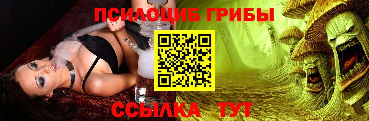 Псилоцибиновые грибы мицелий  Вход с VPN  Псилоцибиновые грибы Psilocybe  Славянск-на-Кубани 