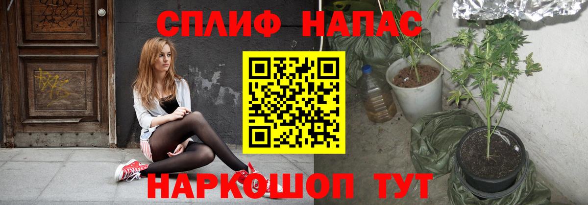 МАРИХУАНА ГИДРОПОН  Канабис Bruce Banner  Канабис ГИДРОПОН  Славянск-на-Кубани  Канабис индика  Вход с VPN 